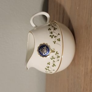 Royal Tara cup teapot